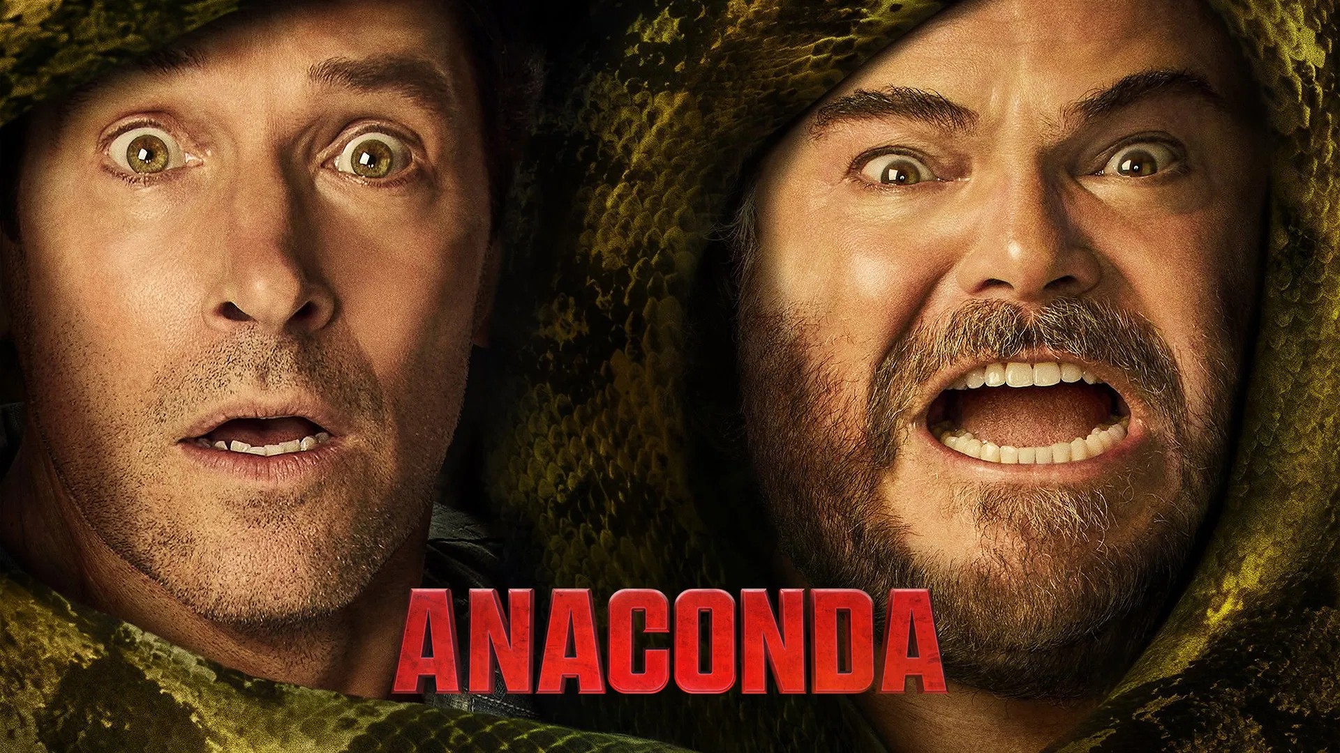 Anaconda Anaconda