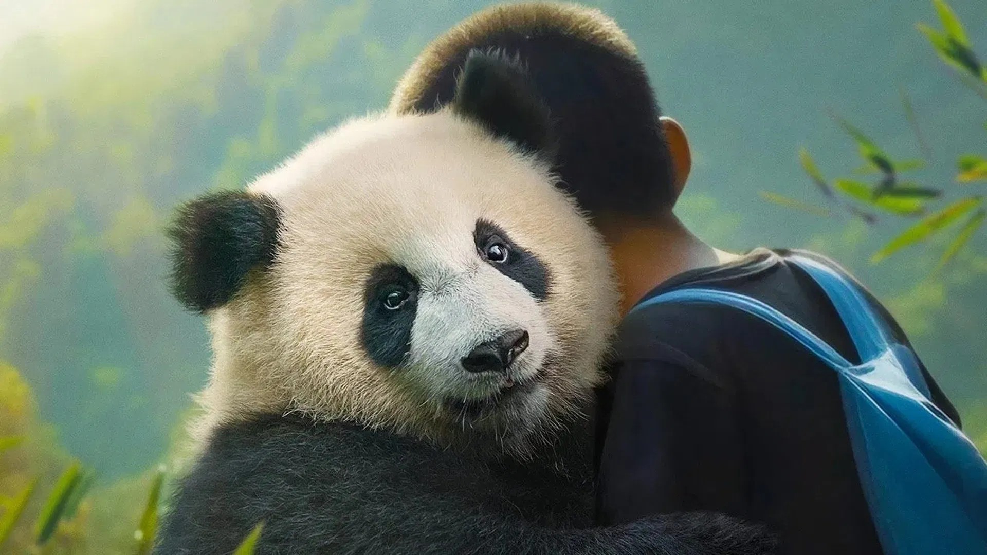 Moon The Panda ချစ်လှစွာသော သူငယ်ချင်းများ... တောင်ပေါ်မှ