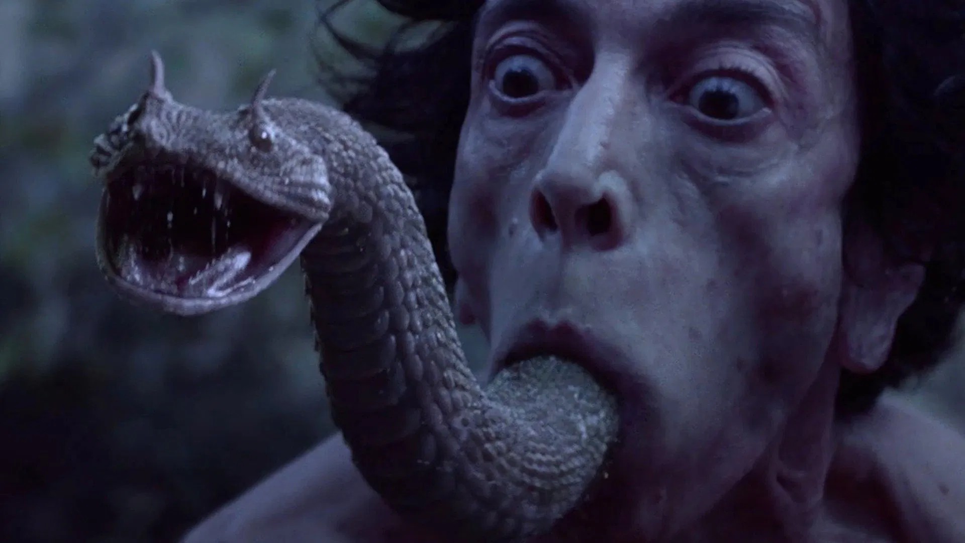 The Carpenter's Son The Carpenter's Son