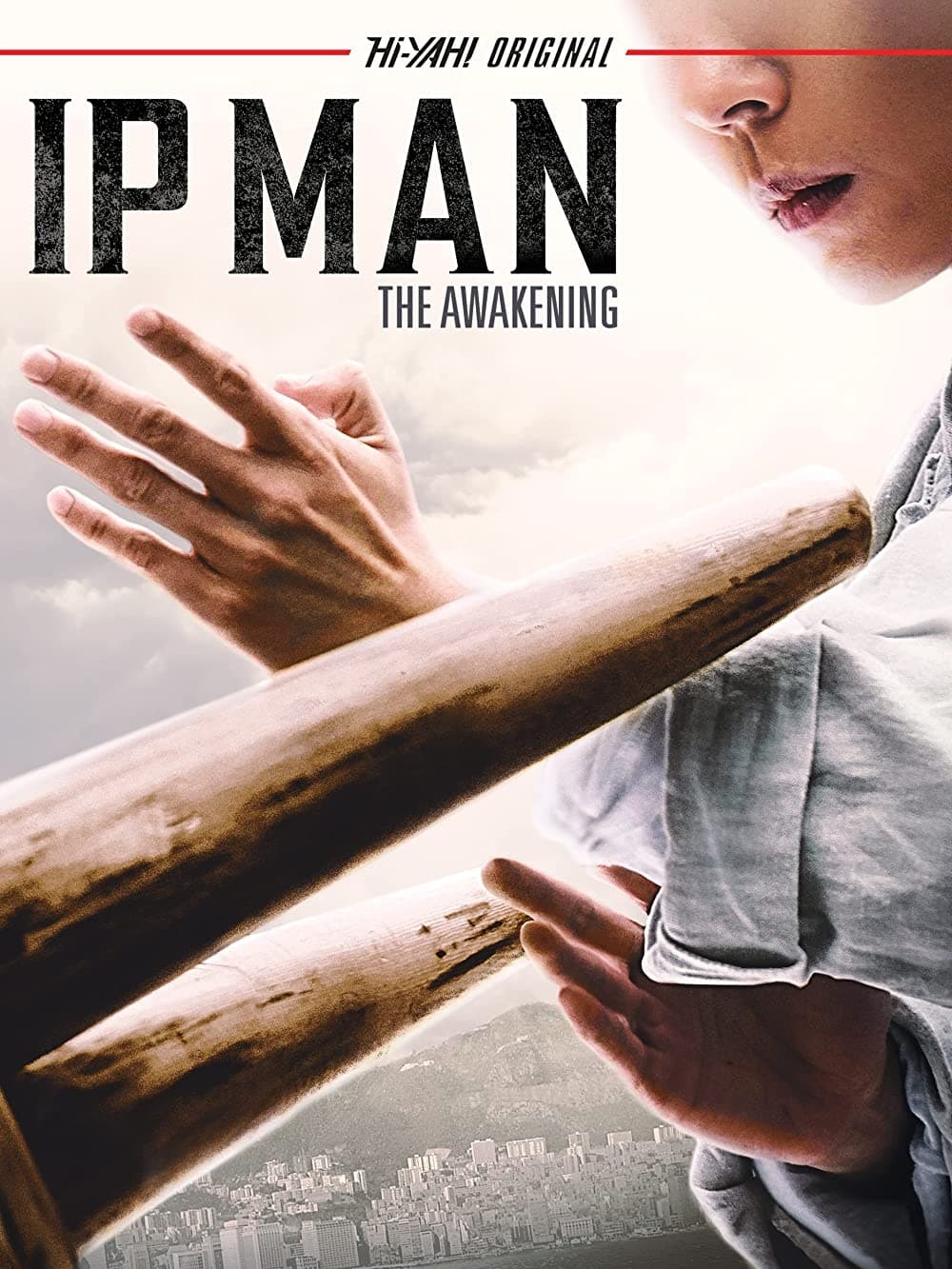 Ip Man: The Awakening Ip Man: The Awakening