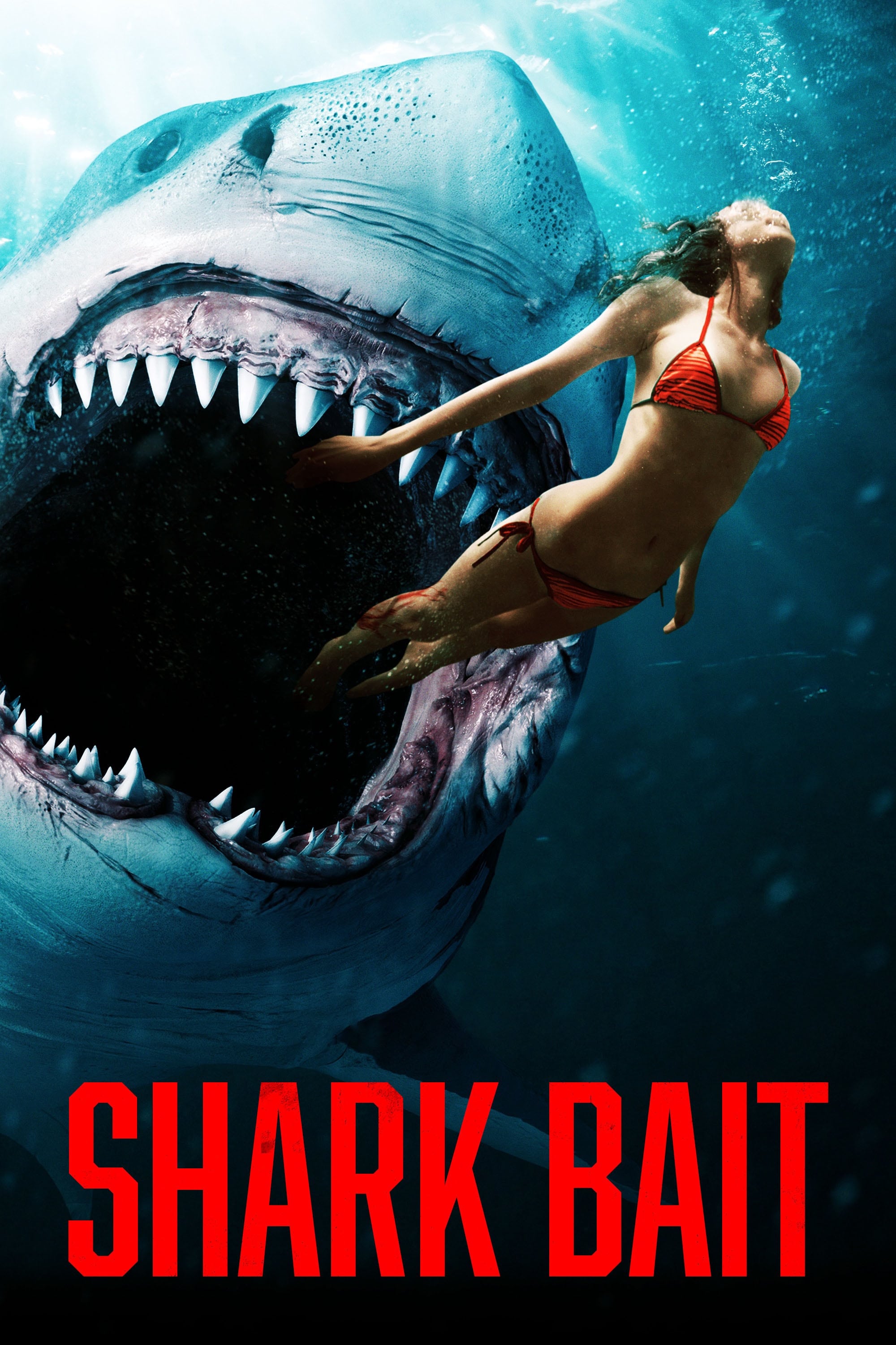 Shark Bait Shark Bait