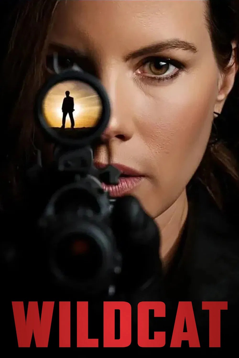 Wildcat လှတယ်၊ လုယက်ရမယ်။